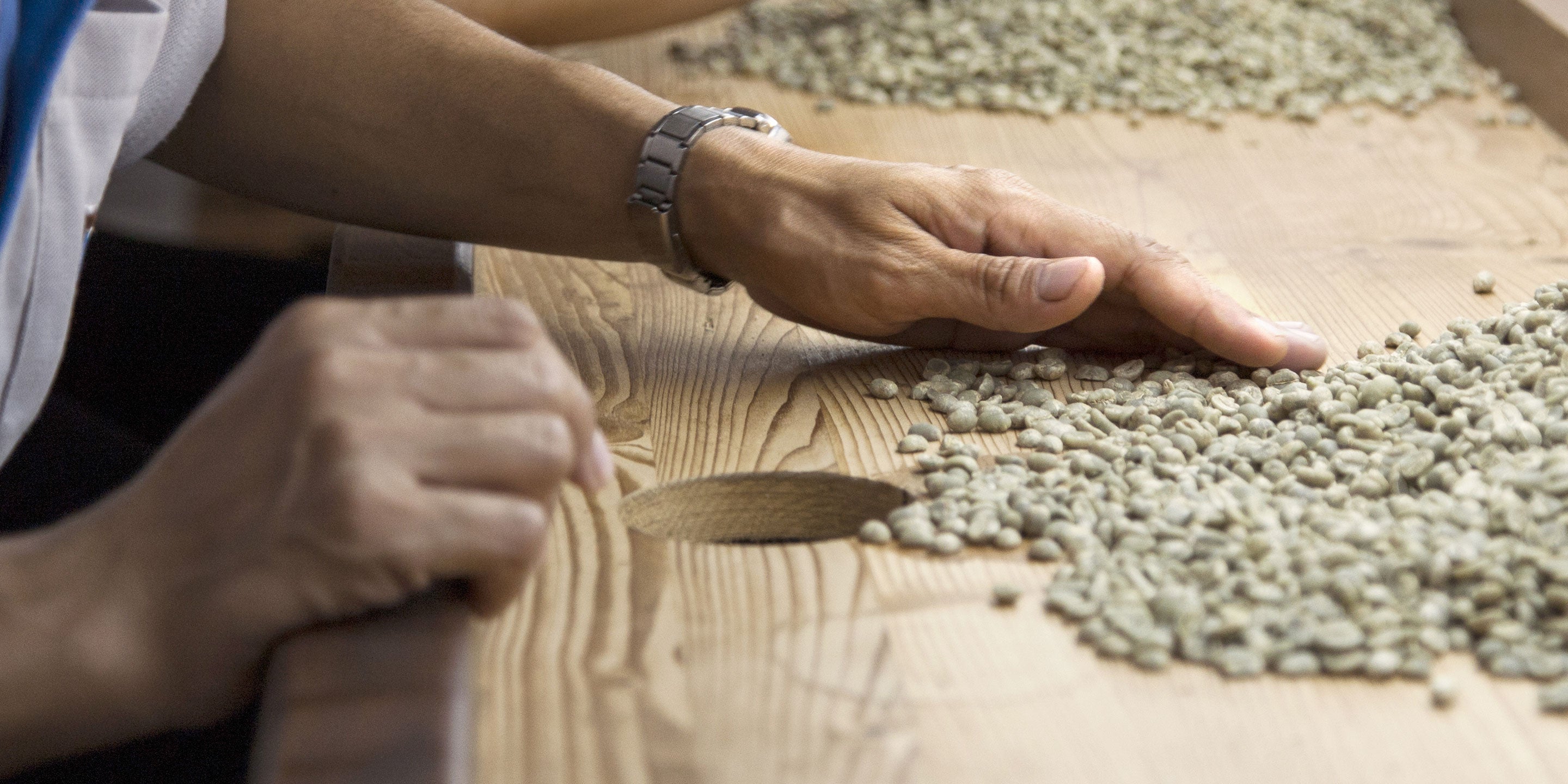 Coffee Craft: Sorting the Beans
