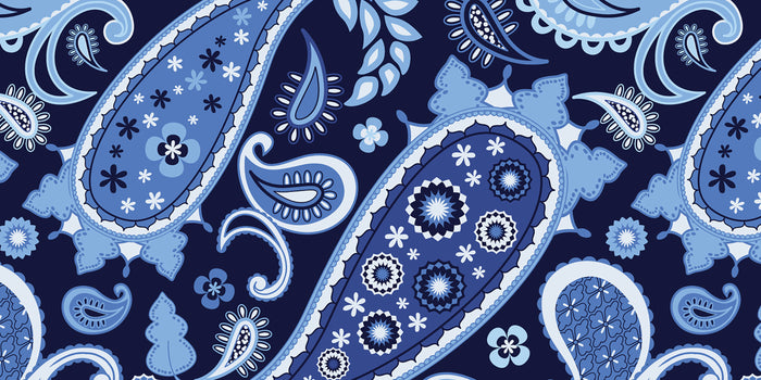 The Origin of the Paisley Pattern